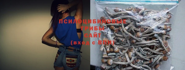 не бодяженный Богородск
