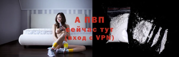 стафф Богородицк