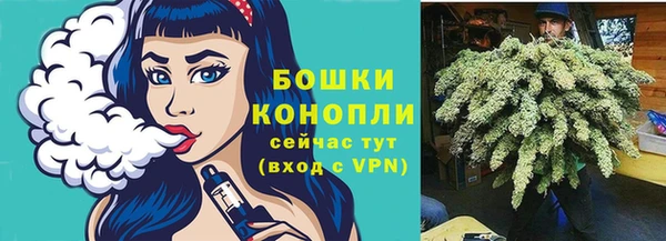 стафф Богородицк