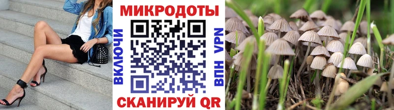 Галлюциногенные грибы прущие грибы  магазин  наркотиков  Донецк 